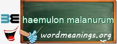 WordMeaning blackboard for haemulon malanurum